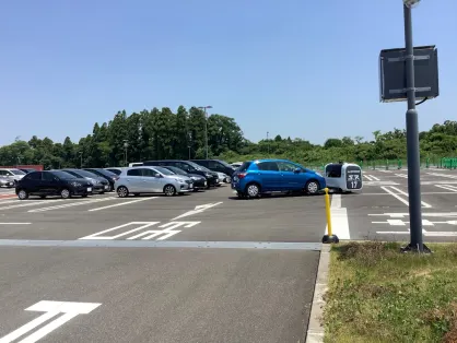 Casino Spice Bingo App Mobile